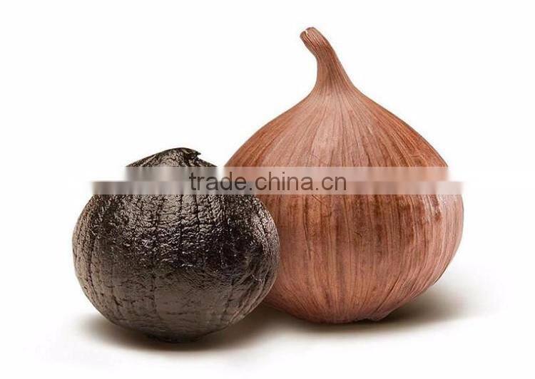 2016 hot sale organic snack fermented china black garlic single bulb
