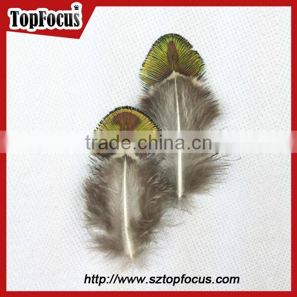 hot sale designer indian cheap natural artificial peacock feathers