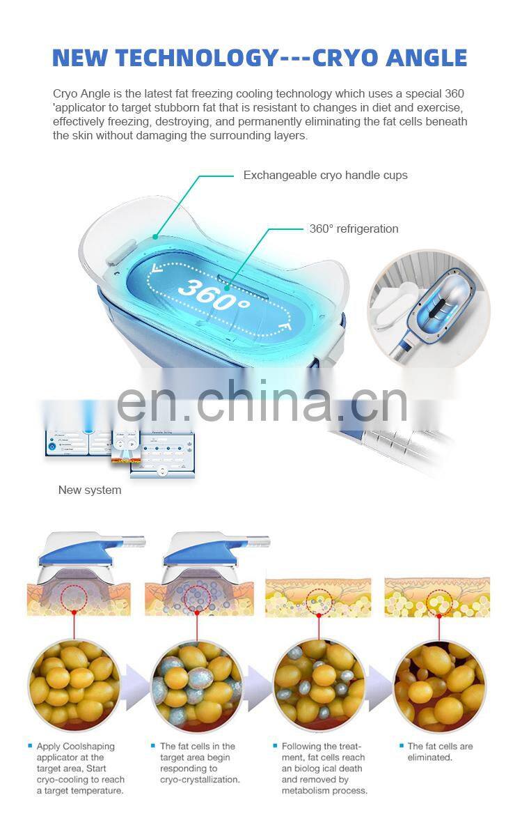 Criolipolisis Cryolipolysis Slimming Machine Portatil Cryolipolisis Machine Portable 2 Handles