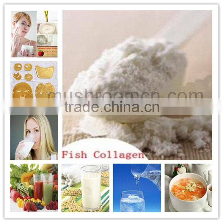 health care and skin beauty pure halal collagen