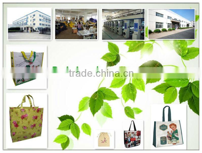 2016 custom pet shop bags