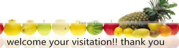 Fresh fruit juice processing line from Better Industry