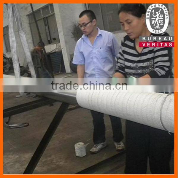 Good quality stainless steel ground rod