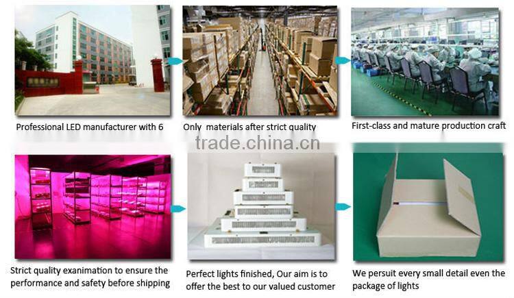 64*3W Greenhouse LED Grow Light 450w led grow light