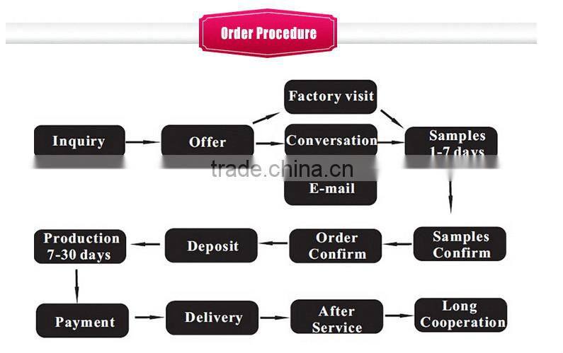 newest 2 in 1 LED ceramic travel floding hair straighetner