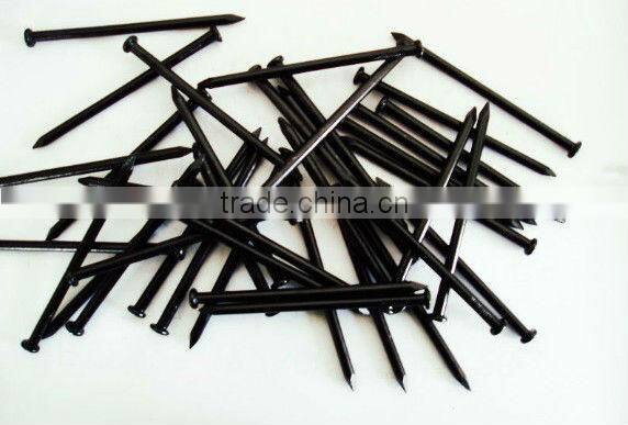 Supply Cheap Price Black Finished Concrete Nails for Sale