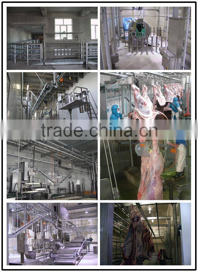 200 per day cattle veal buffalo meat slaughterhouse plant equipment