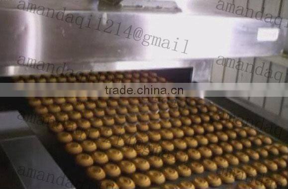 cookies baking tunnel oven