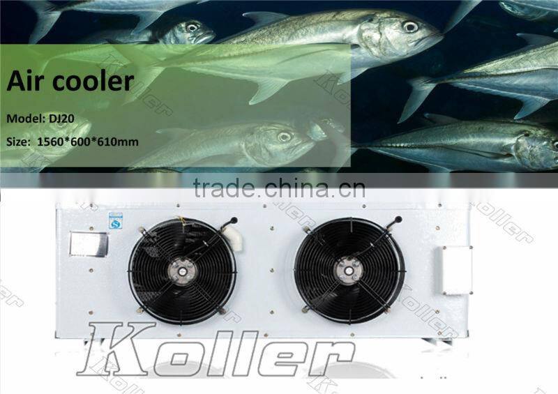 walk in Koller freezer cold room for fishery