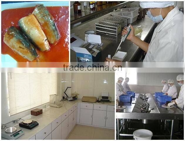 155g mackerel can food