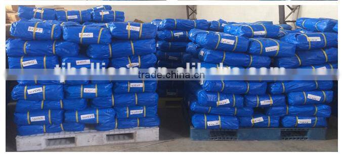 12' X 16' Blue Tarp Multi-purpose Waterproof Poly Tarp Cover with Tent Shelter Camping Tarpaulin