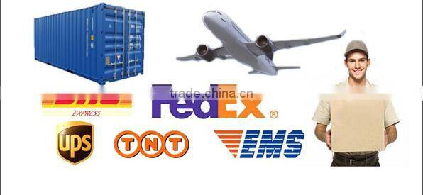 Spoken Fixed gear bicycle