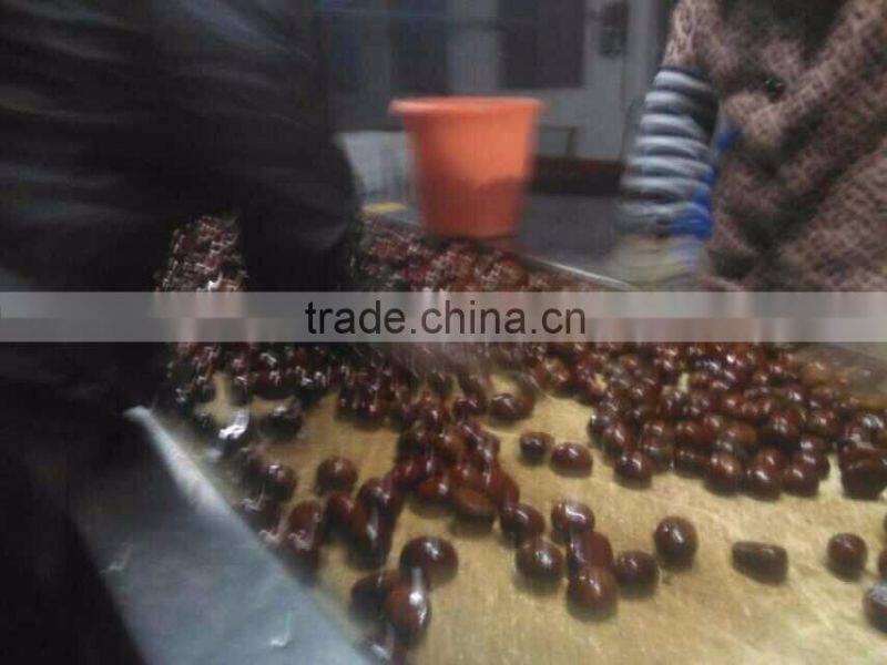 Sweet Chestnut , organic / common