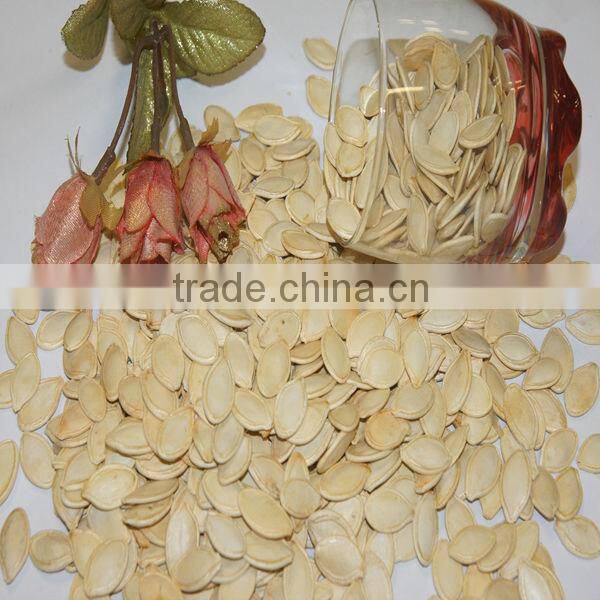 Harvest good quality pumpkin seeds