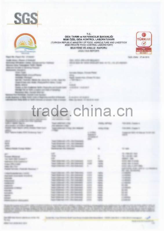 Canned Mackerel in Tomato Sauce with High Quality