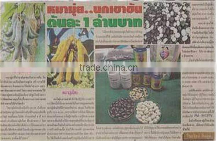 Velvet Bean Seeds Extract L-dopa for health care product