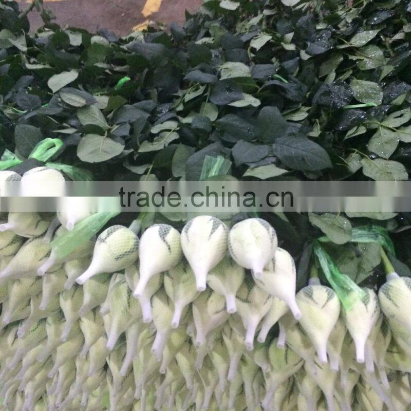 2016 Kunming fresh cut flowers fresh cut roses wholesale price