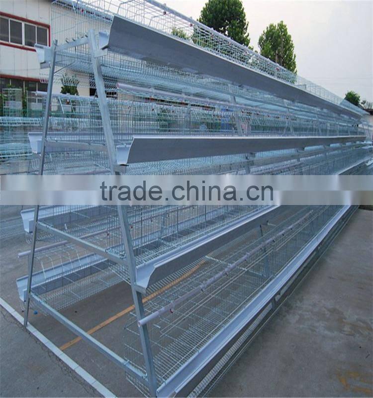 Alibaba express used poultry equipment for sale
