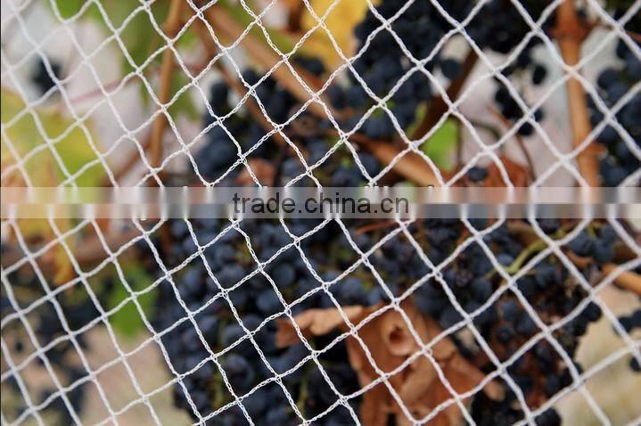 100% HDPE anti-bird netting