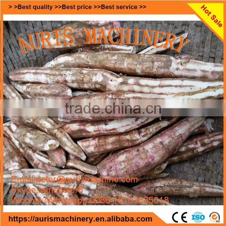 Popular cassava chip root peeler machine