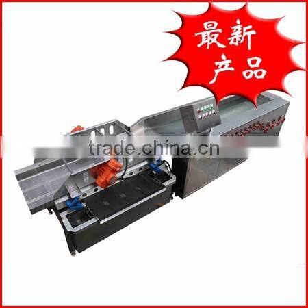 Taiwan Teemyeah TW-406 Efficient Continuously Vegetable Washing Machine