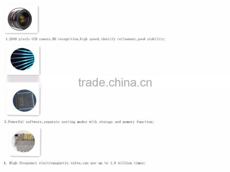 The newest optoelectronic intelligent CCD salt color sorter machine in china