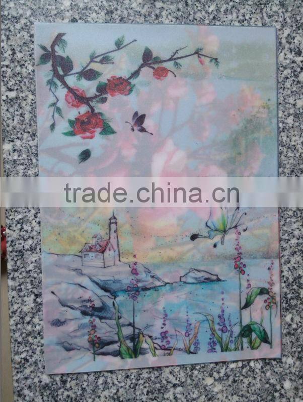 lamination film( EVA)