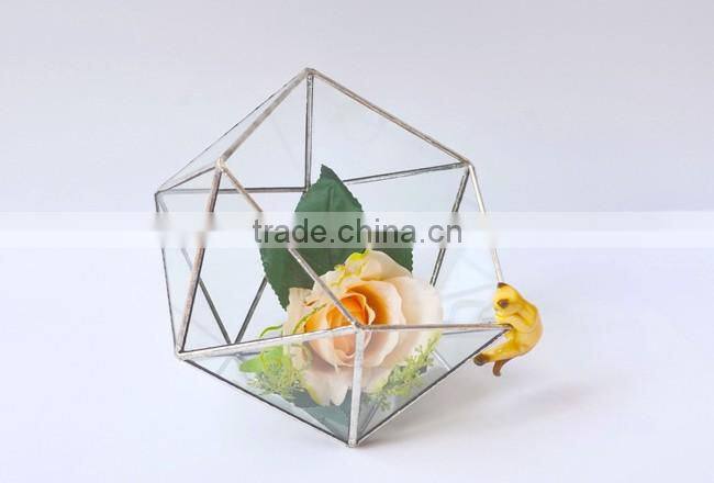 Home design clear glass terrarium succulent plants greenhouses