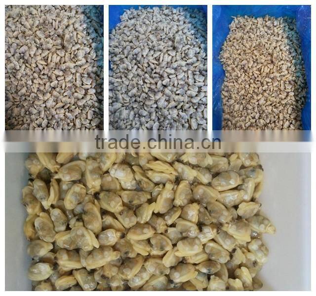 Frozen Tweed Bait squid Heads