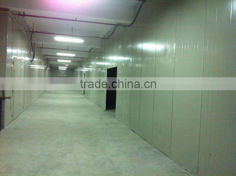 Epoxy SUP Paddle Boards , sup paddle board