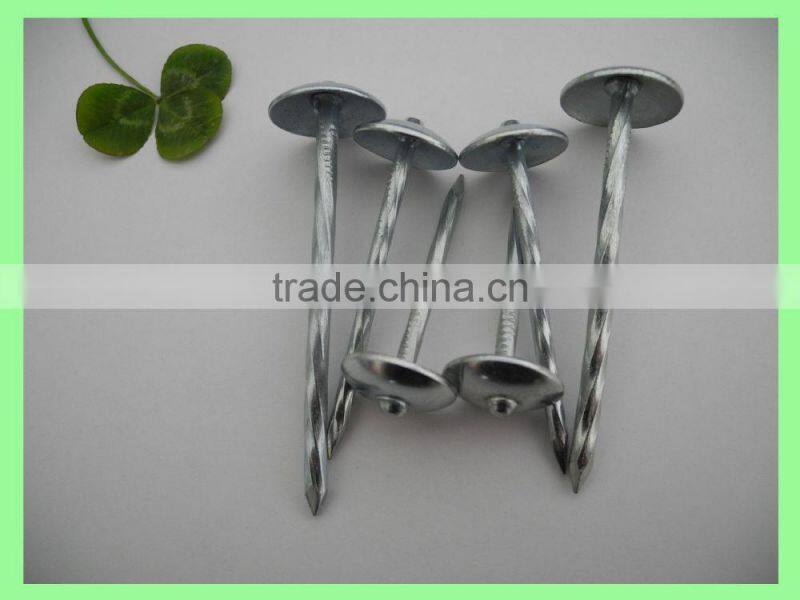 Kenya umbrella roofing nails