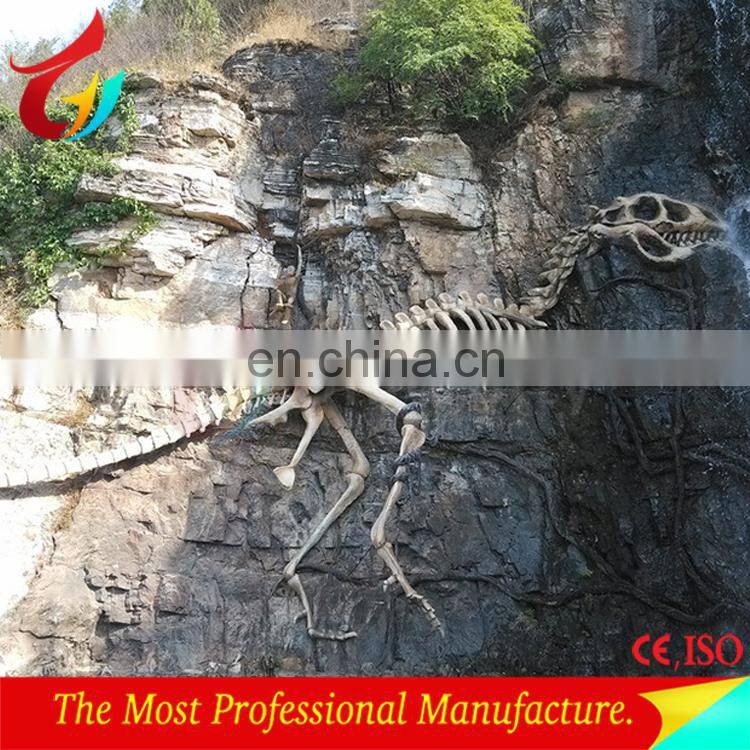 Dinosaur museum dinosaur skeleton for exhibition