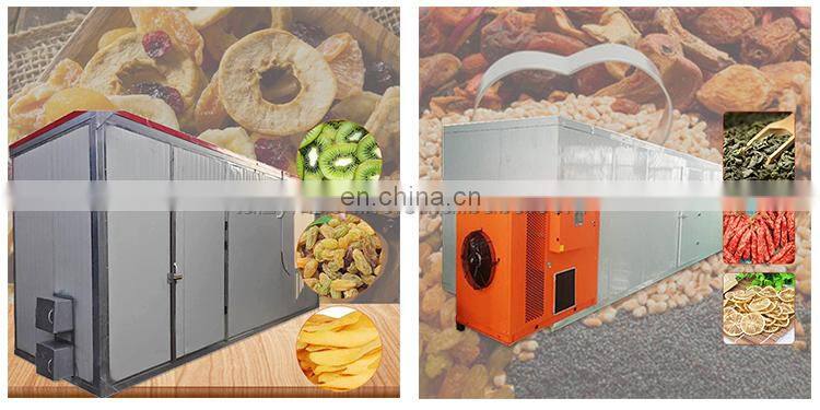 Automatic papaya drying fish machine fruit dehydrator in Ghana
