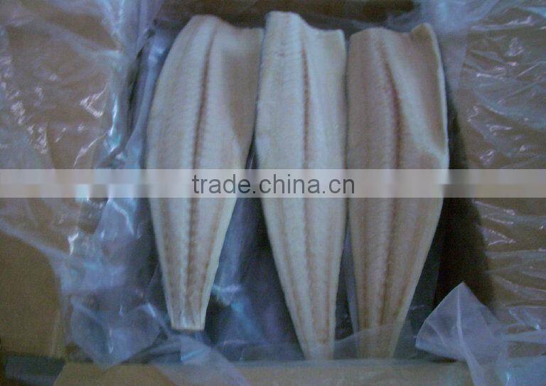 Frozen spanish mackerel fillets
