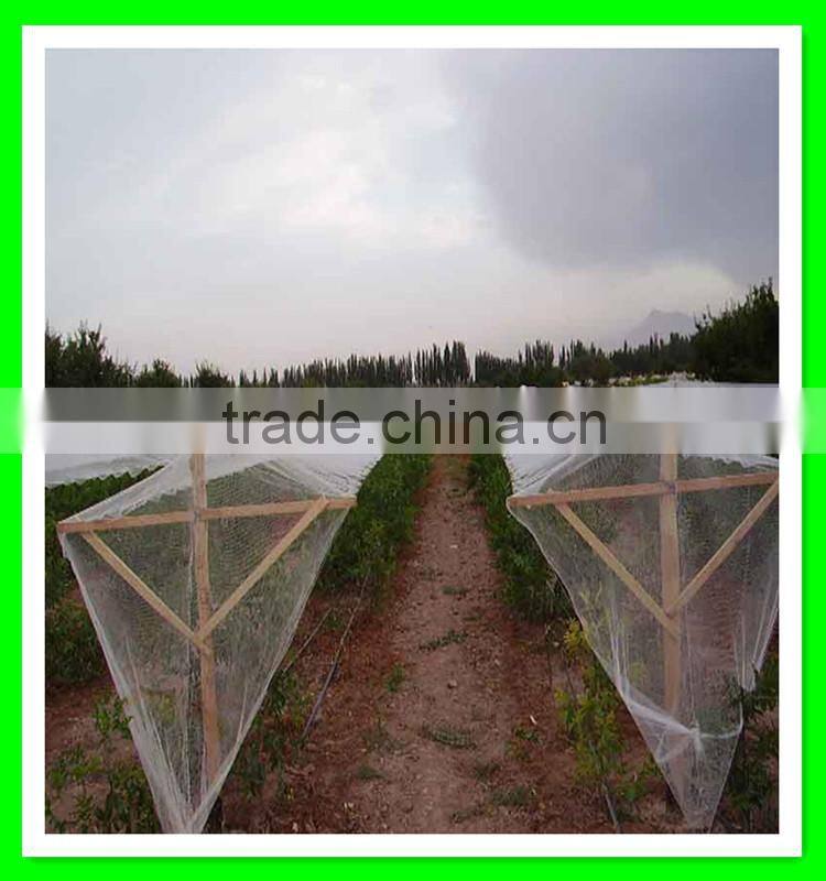 High quality agriculture used green knitted anti hail net with low price