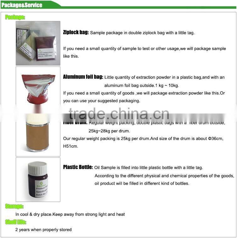 GMP Super Antioxidant Blueberry Fuit Powder