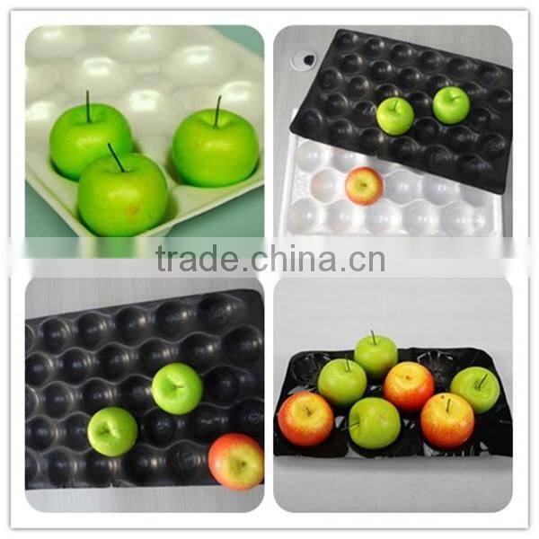 Perforated tomato plastic insert tray