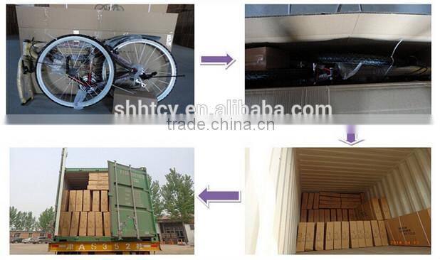 26inch Alloy 21 Speed Snow Bike SH-S010