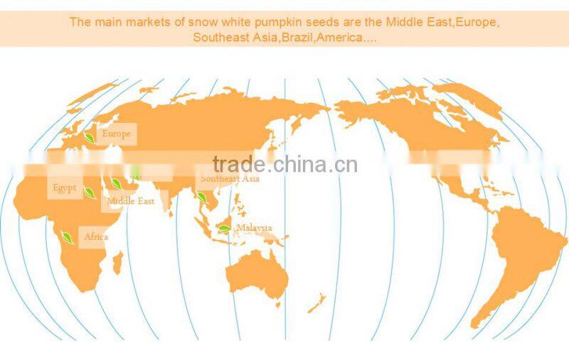 2015 New Crop Shine Skin Pumpkin Seeds price