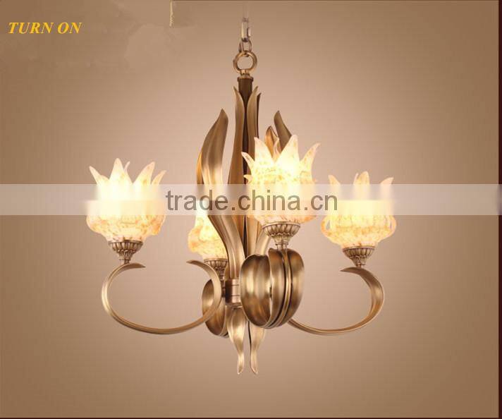 Special Metal Iron Chandelier Pendant lighting