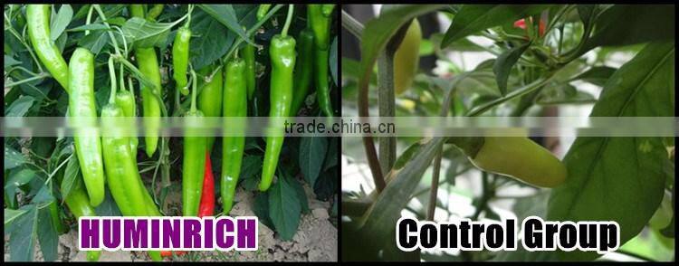 Huminrich Promote Root Development And Stimulates Seed Germination Fully Soluble Leonardite Humic Acid Organic