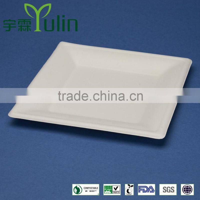 T028 10 inches disposable flate square sugar cane paper plate