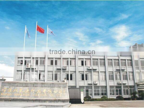 New Design Garden Light LED CE RoHs Outdoor LED Garden Light 80 w