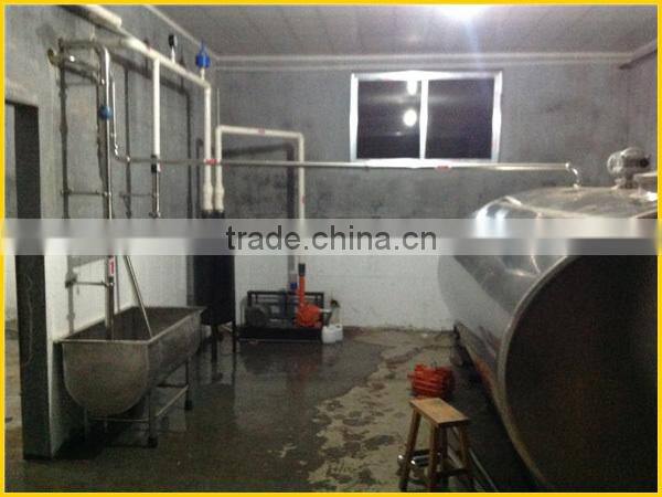 pipeline milking machine hall (parlor)