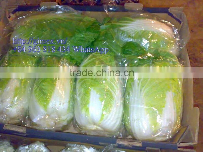 FRESH CHINA CABBAGES