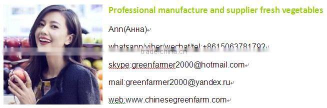 fresh seedless lime orange fresh fruit