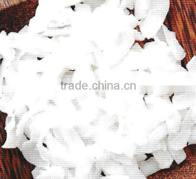 HIGH FAT DESICCATED COCONUT FINE GRADE