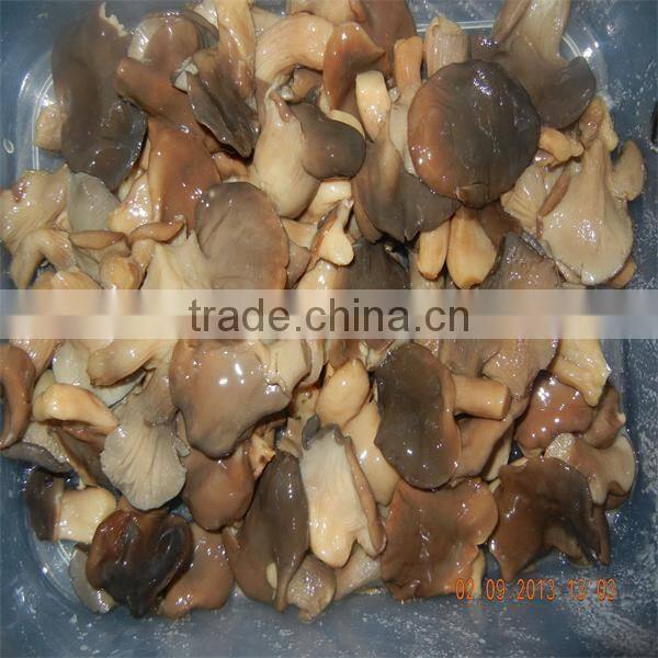 Chinese 1kg mix mushrooms kinds of oyster mushrooms mushroom for sale