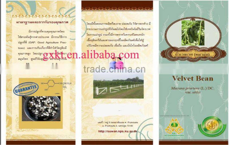 Natural Mucuna Puriens Capsule 30 Grains