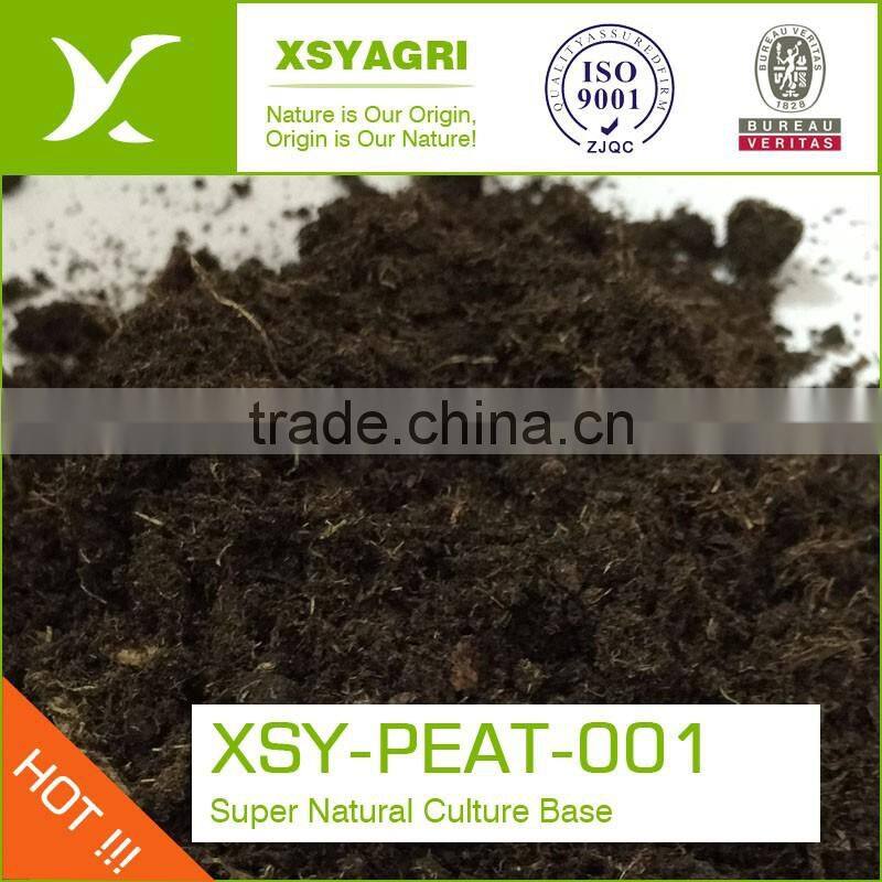 Natural Peat Moss Powder